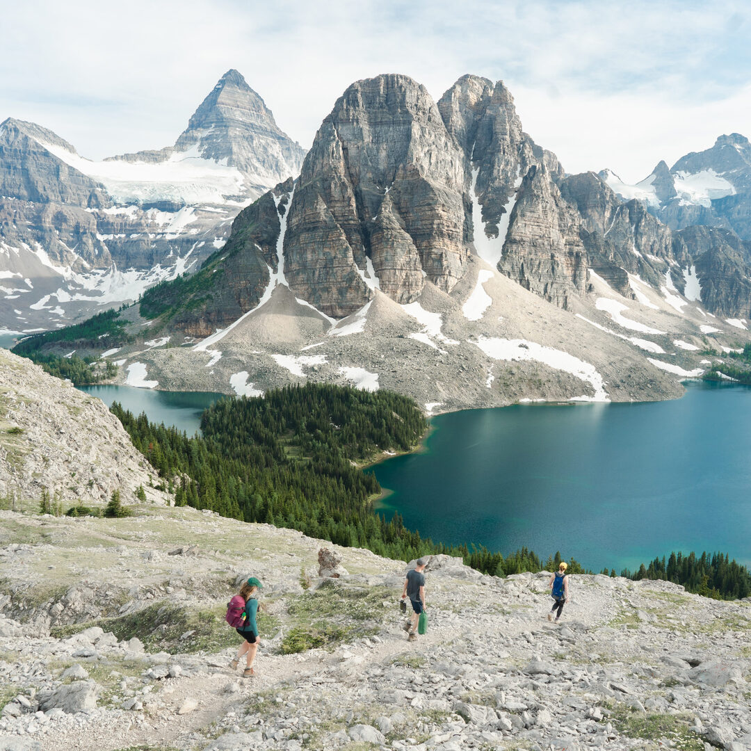 Hike from Mount Shark to Assiniboine Pass